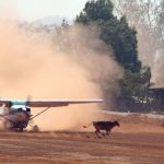 دانلود کتاب Runway Incursion